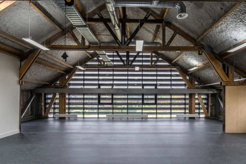 Looking Up: Why Ceiling Design Has Become Architecture's Most Underestimated Canvas